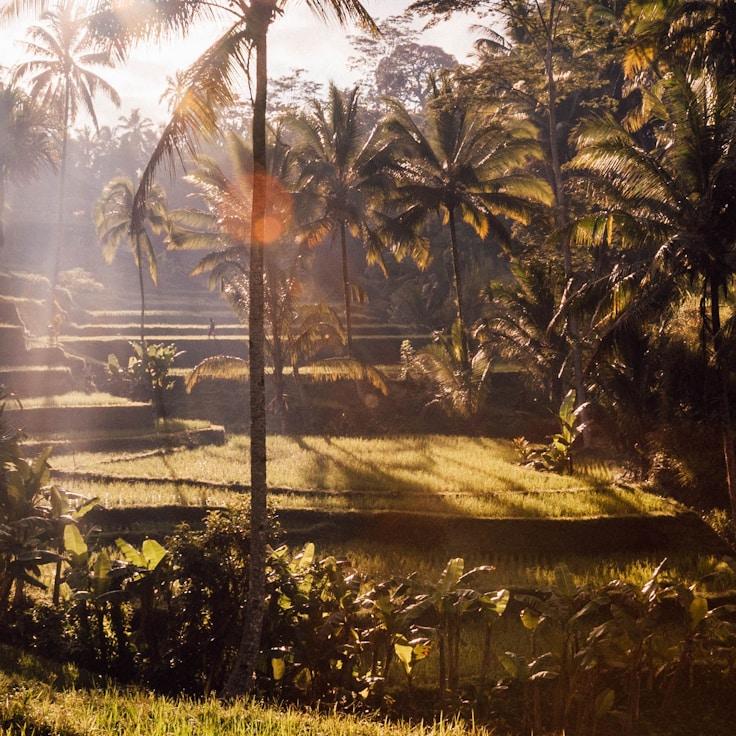 Kids playground area in Spain